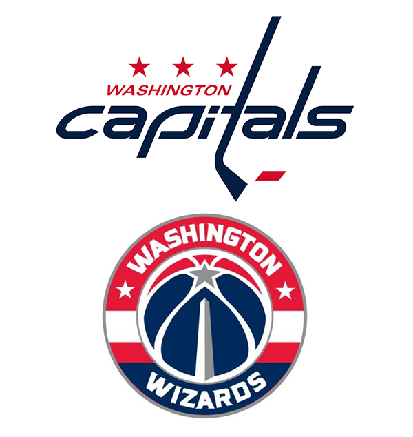 Washington Capitals Team Bleacher Cushion